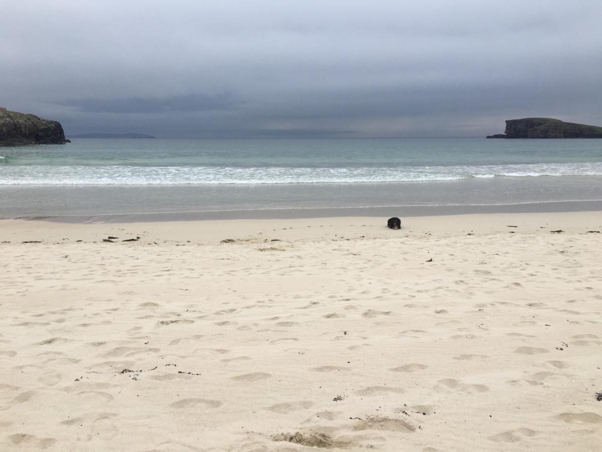 Oldshoremore Eco Crofters Wagon By The Beach المظهر الخارجي الصورة